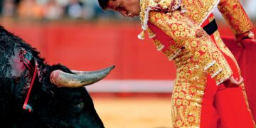 Đấu bò tót – trò man rợ nhưng vinh quang ở Tây Ban Nha